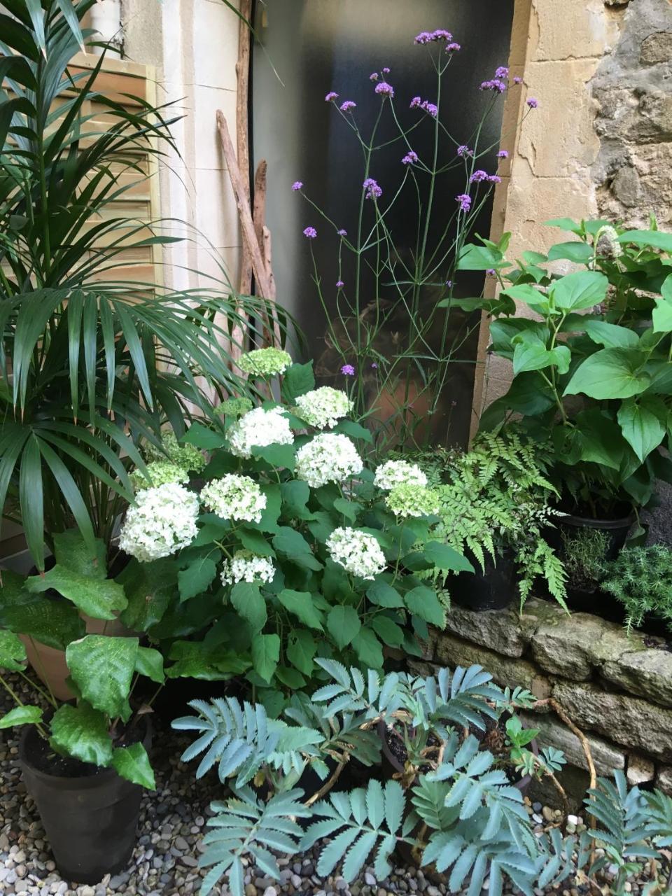 Monte Arena Bed & Breakfast Montaren-et-Saint-Médiers Exterior foto